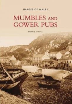 Mumbles and Gower Pubs by Brian E Davies Book