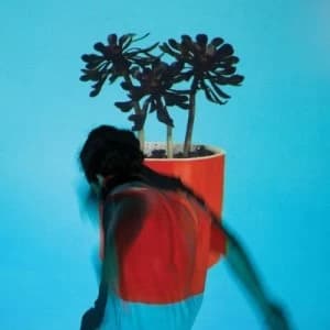 Sunlit Youth by Local Natives CD Album
