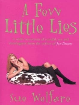 A Few Little Lies by Sue Welfare Book
