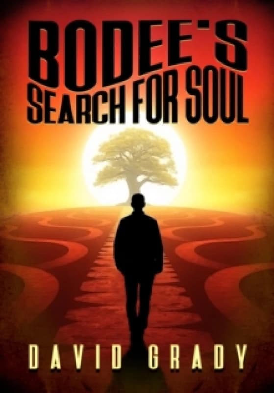 Bodee's Search for Soul Paperback / softback