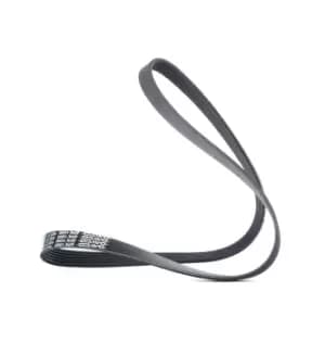 DAYCO V-ribbed belt 6PK1050 Serpentine belt,Auxiliary belt OPEL,FIAT,PEUGEOT,Vectra C Caravan (Z02),Vectra C Limousine (Z02),Vectra C CC (Z02)