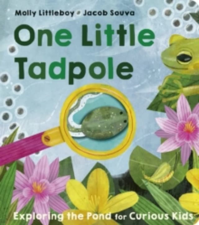 One Little Tadpole Board book