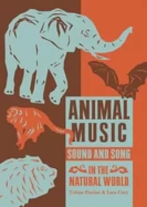 animal music sound and song in the natural world