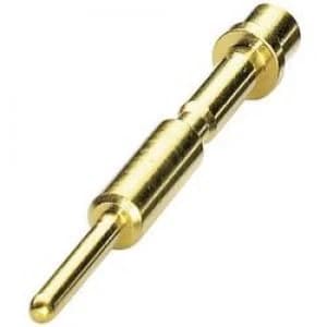 Coninvers 1605554 SF 6AP2000 Gold