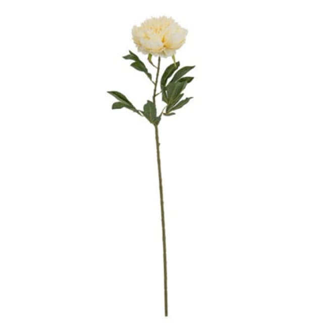 Hill Interiors Large Buttermilk Double Peony Stem Artificial Flower - Plastic - L19 X W19 X H95cm - Cream