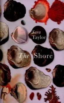 The Shore by Sara Taylor Hardback