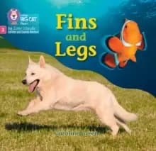 Fins and Legs : Phase 2 Set 4 Blending Practice