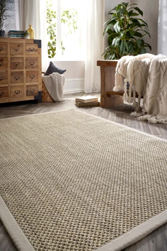 Origin Sisal Rug Light Beige with Sand Border 160x230 Beige