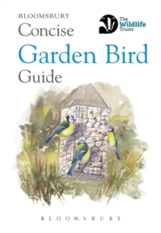Concise Garden Bird Guide Paperback / softback