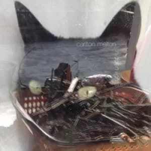 Hidden Lights by Carlton Melton Vinyl Album