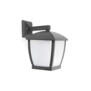 Wilma 1 Light Outdoor Large Wall Lantern Dark Grey IP44, E27
