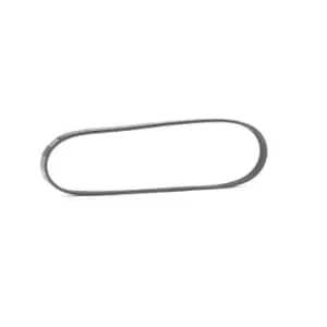 RIDEX V-ribbed belt BMW 305P0420 64557792851 Serpentine belt,Auxiliary belt,Poly V-belt,Ribbed belt,Multi V-belt,Poly belt