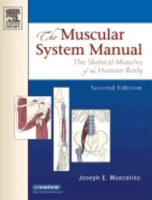 muscular system manual the skeletal muscles of the human body 2nd edition