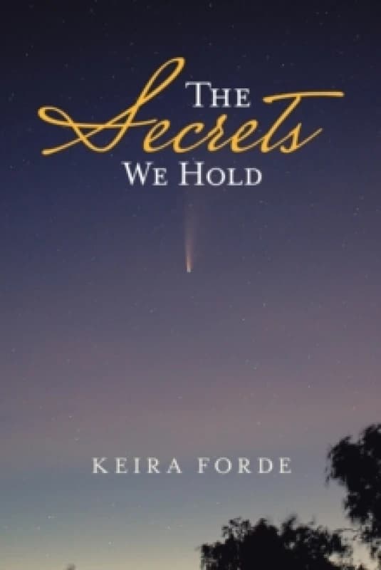The Secrets We Hold Paperback / softback
