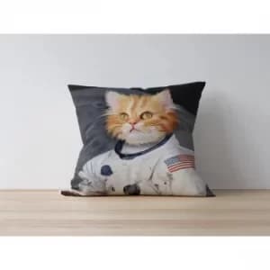 a1017 Multicolor Cushion Cover