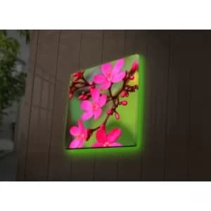 4040DACT-40 Multicolor Decorative LED Lighted Canvas Painting
