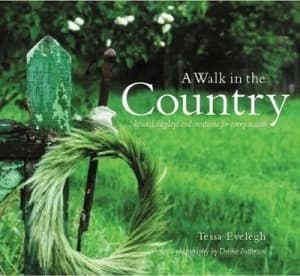 A Walk in the Country by Tessa Evelegh and Debbie Patterson Hardback