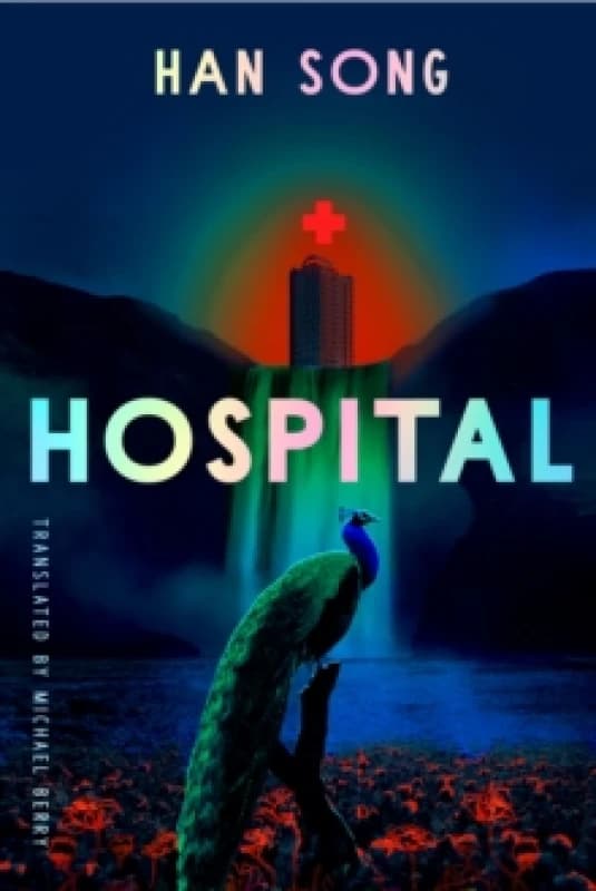 Hospital Paperback / softback