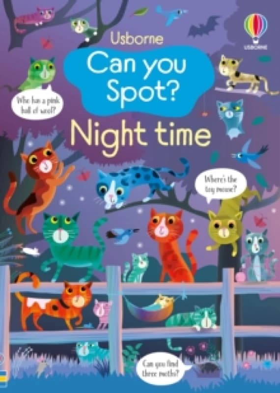 Can you Spot? Night time Paperback / softback