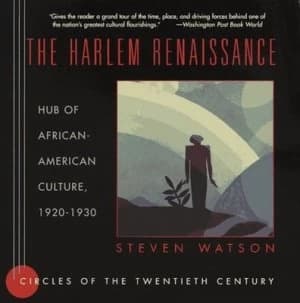 The Harlem Renaissance by Steven Watson Paperback