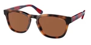 Polo Ralph Lauren Sunglasses PH4170 530373