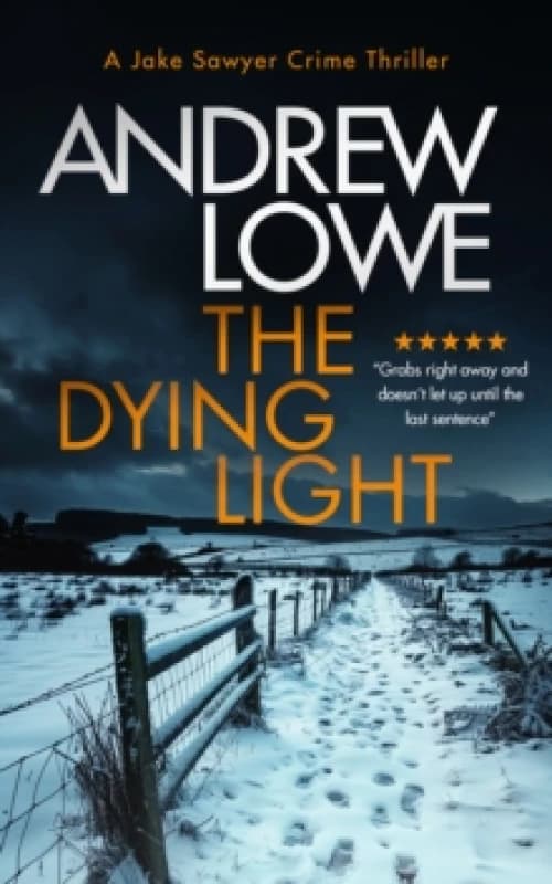 The Dying Light. Paperback. By Andrew Lowe Books