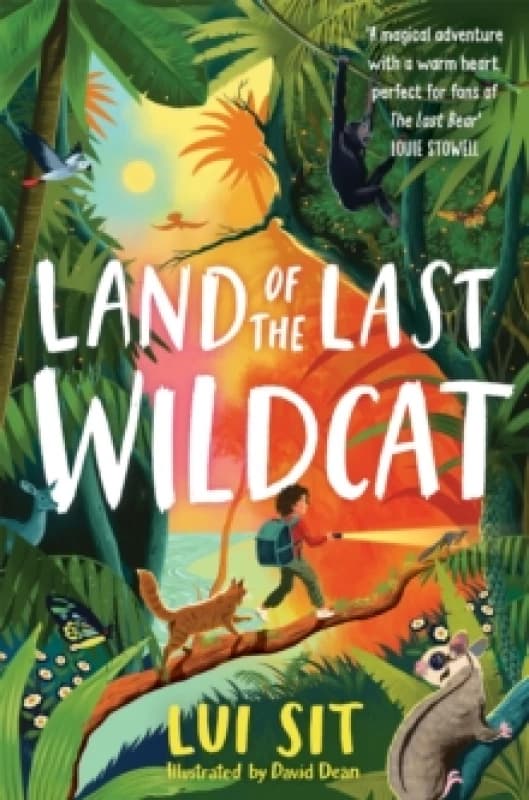 Land of the Last Wildcat. Paperback. By Lui Sit Books