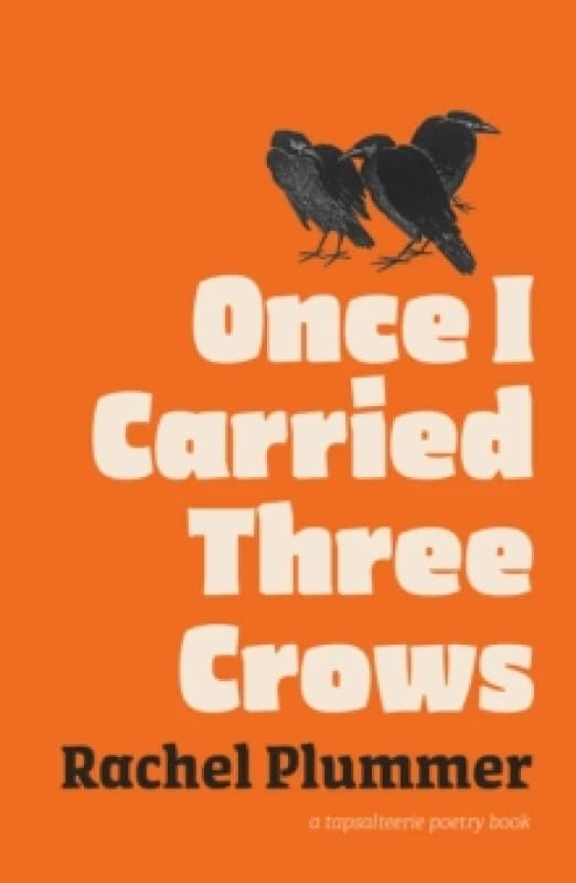 Once I Carried Three Crows Paperback / softback
