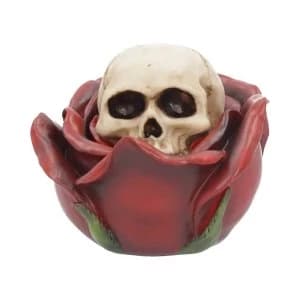 Beauty and the Deceased Box