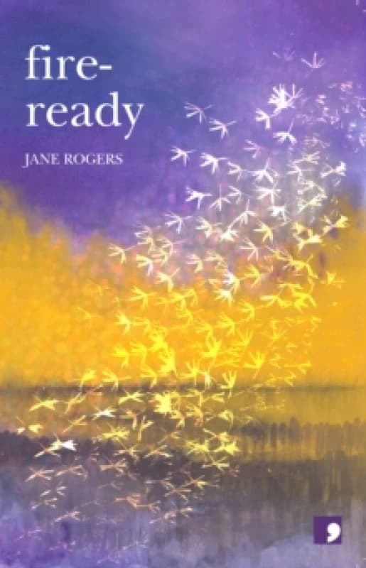 Fire Ready Paperback / softback