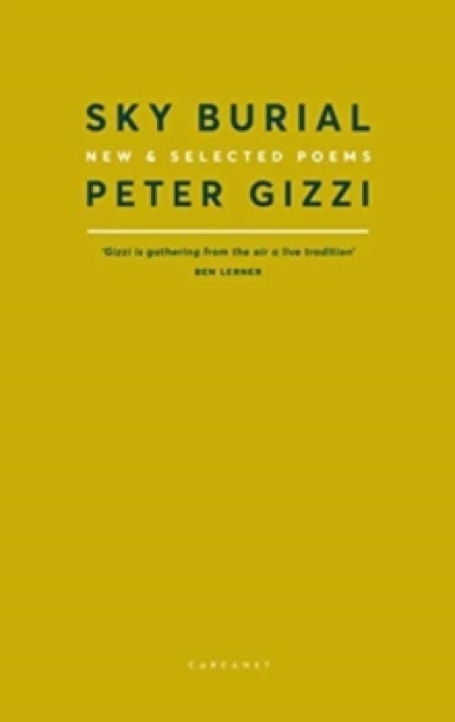 Sky Burial : New and Selected Poems Paperback / softback