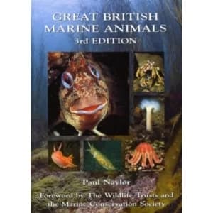 Great British Marine Animals