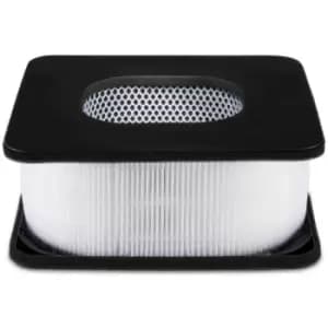 Avalla - R-190 Air Purifier True HEPA and Active Carbon Filter Set