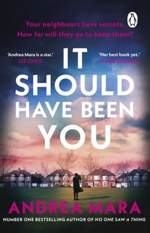 It Should Have Been You Paperback / softback