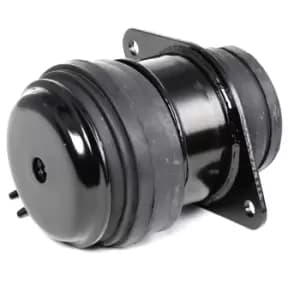 RIDEX Engine mount 247E0032 Motor mount,Engine mounting bracket VW,SEAT,GOLF III (1H1),Golf III Cabrio (1E7),Golf IV Cabrio (1E)