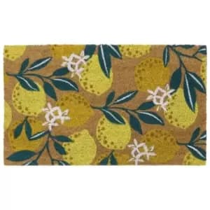 Eco-Friendly Latex Backed Coir Door Mat, Lemons - JVL