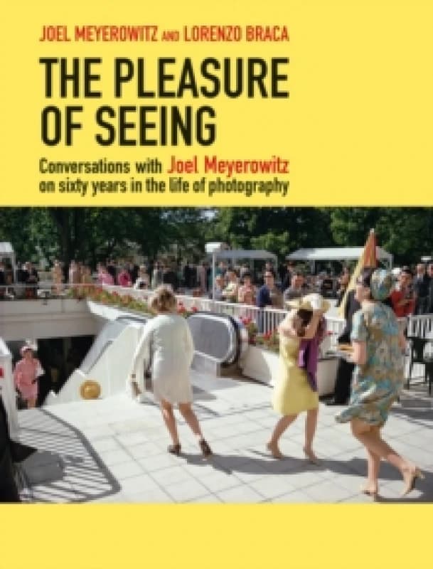 The Pleasure of Seeing : Conversations on Joel Meyerowitz's sixty years in the life of photography Hardback