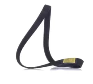 RIDEX V-ribbed belt FIAT,NISSAN,ALFA ROMEO 305P0186 60607387,60617858,500388408 60617858,60812329,117203VU0C