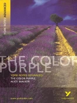 The Color Purple Alice Walker by Neil Mcewan Paperback