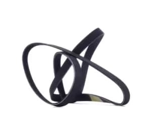 RIDEX V-ribbed belt 305P0466 Serpentine belt,Auxiliary belt BMW,OPEL,FORD,1 Schragheck (E87),1 Schragheck (E81),1 Coupe (E82),1 Cabrio (E88)