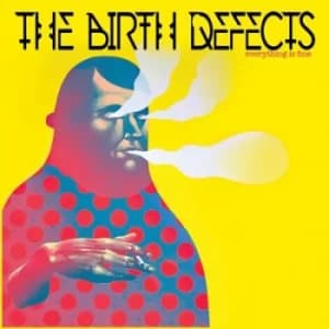 Everything Is Fine by The Birth Defects Vinyl Album