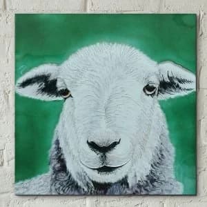 Herdwick Sheep Wall Tile By Sonia Johnson