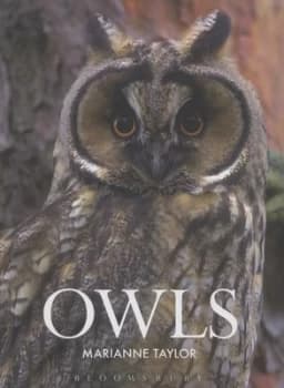 Owls by Marianne Taylor Hardback