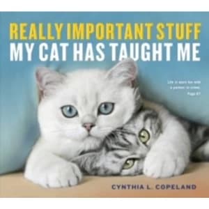 Really Important Stuff My Cat Has Taught Me