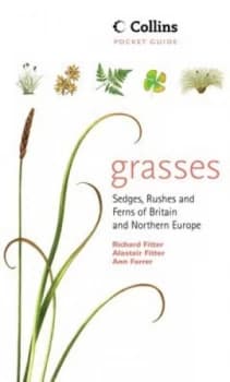 Collins Guide to the Grasses Sedges Rushes and Ferns of Britain and Northern Europe by Richard Fitter Paperback