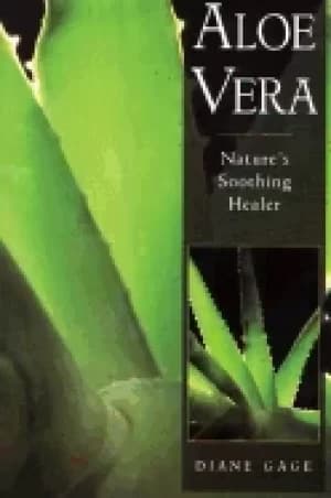 aloe vera natures soothing healer