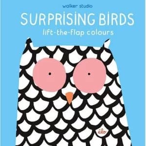 Surprising Birds: Lift-the-Flap Colours Hardback 2018
