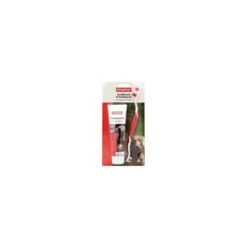Dental Kit Dog and Cat 100g - 24482 - Beaphar