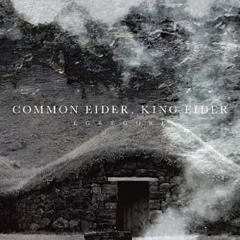 Common Eider / King Eider - Egregore CD