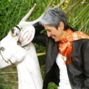 Day After Tomorrow by Joan Baez CD Album